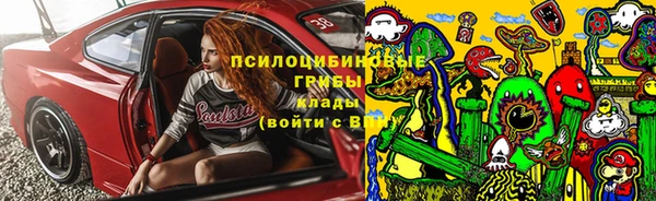 ПСИЛОЦИБИНОВЫЕ ГРИБЫ Ачинск
