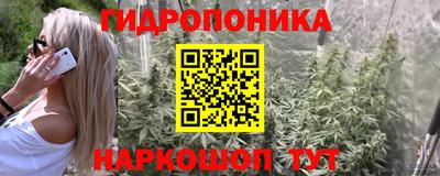 герыч Бийск
