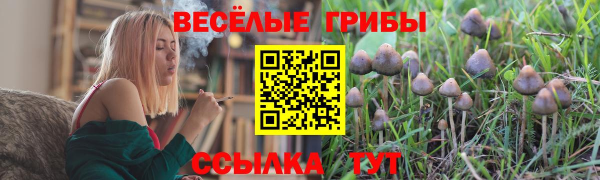 Псилоцибиновые грибы MAGIC MUSHROOMS  Псилоцибиновые грибы ЛСД  сколько стоит  Донской 